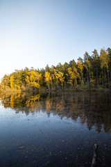Reflective scenery during fall.