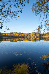 reflective scenery during fall.