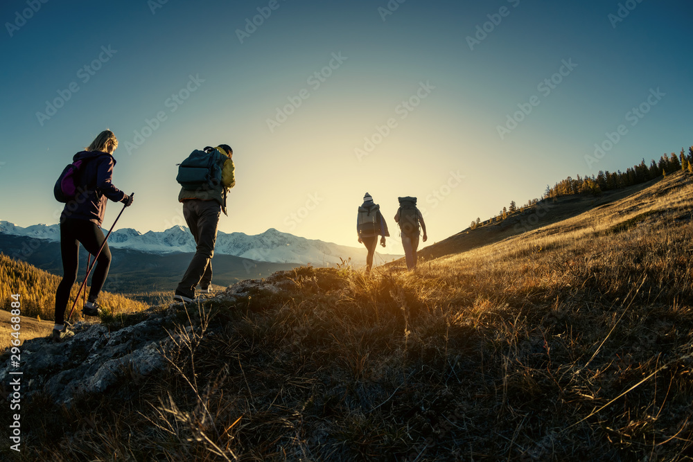 Wall mural group of hikers walks in mountains at sunset