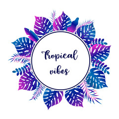 Summer tropic background with palm leaves