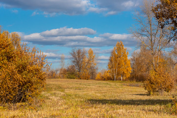 Fototapeta premium Autumn landscape. Village houses are reflected in the river lake, like gingerbread. Evening sun, sunset. Colorful trees yellow, red, purple shades. Blue sky with light clouds. Russia, Siberia, Perm