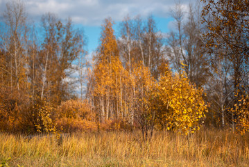 Autumn landscape. Village houses are reflected in the river lake, like gingerbread. Evening sun, sunset. Colorful trees yellow, red, purple shades. Blue sky with light clouds. Russia, Siberia, Perm