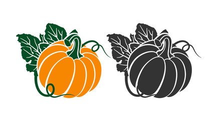 Pumpkins with leaves, silhouette on white background.
