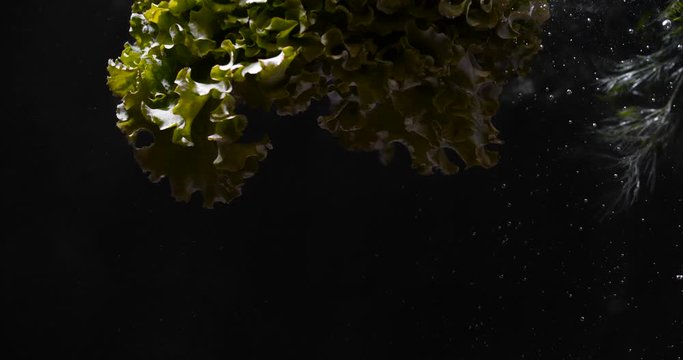 
A group of many ripe cherry tomatoes, bunches of dill and lettuce fall into the water on a black background with dramatic light, creating much bubbles. Slow motion 50 FPS 4K