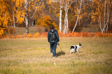 A girl in an autumn jacket walks with a dog on a leash in the autumn forest.