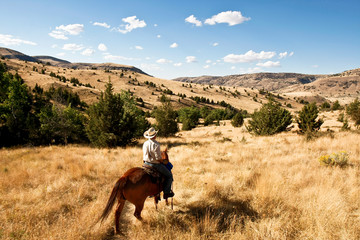Cow-Boy et cheval western dans les collines de l'ouest américain