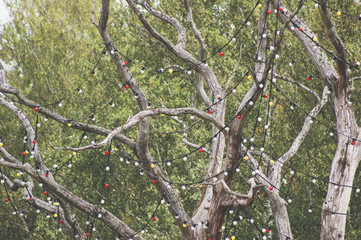 Festive tree with colourful lights