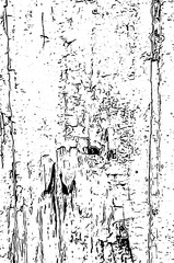 Graphic illustration in black and white. Pencil drawing of wood panel background in grayscale.