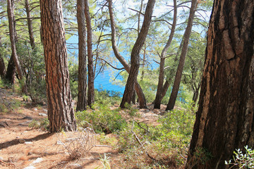 Fototapeta premium View of the azure lagoon of the Mediterranean Sea