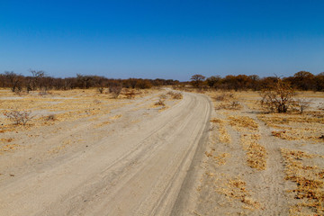 Bush Road