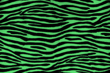 Green Zebra fur background texture