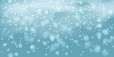 Fototapeta premium Snowflakes, snowfall.