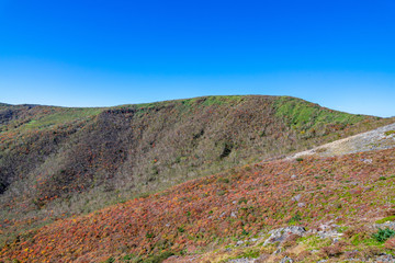 那須岳・茶臼岳　紅葉
