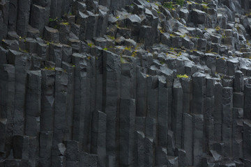 Picture of Basalt columns near Vik, Iceland