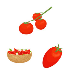 Vector illustration of organic and food logo. Collection of organic and diet stock symbol for web.