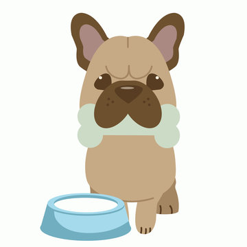 The character of cute french bulldog bike a bone and have bowl of milk near of dog.The french bulldog sitting in the white background. The character of cute french bulldog in flat vector style.