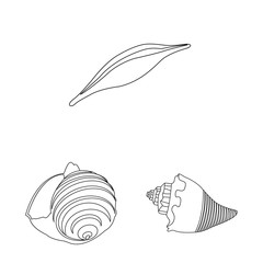 Isolated object of exotic and seafood icon. Set of exotic and aquatic stock vector illustration.