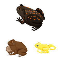 Vector design of frog and anuran logo. Set of frog and animal stock vector illustration.