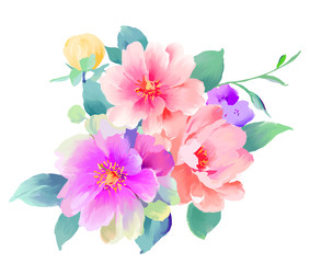Elegant beautiful watercolor hand painted rose flower