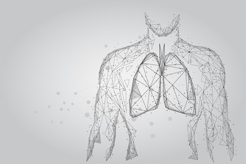 Man silhouette healthy lungs connected dots low poly wireframe. Online doctor World Tuberculosis day medicine low poly vector illustration