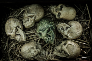 Still Life with human skull