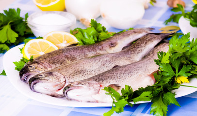 Lemon, parsley, fish and onion lying on the plate