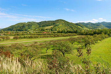 Fototapeta na wymiar Polish rural landscape with orchards and green hills in the distance.
