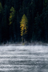 autumn morning mist over Lake St. Moritz