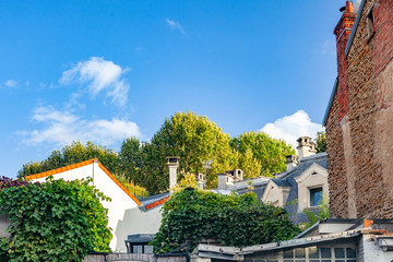 Obraz premium Roofs of houses in Paris