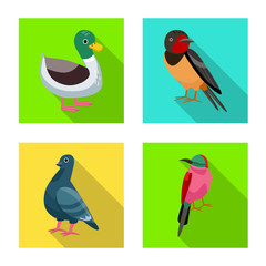 Vector illustration of animal and wild symbol. Set of animal and natural stock vector illustration.