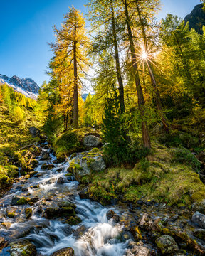 wonderful mountain creek in Val Zeznina with yellow larches and Poz Macun