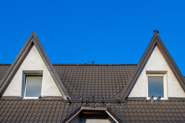 A flock of pigeons on a brown roof with skylights against a blue cloudless sky on a sunny day....