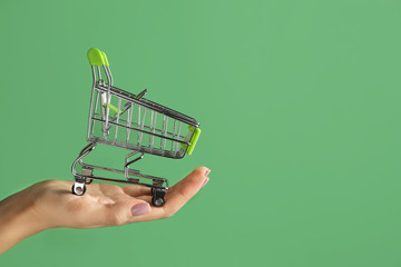 Female hand with empty small shopping cart on color background © Pixel-Shot