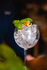 A gin tonic cocktail glass beautifully dressed up in an ambient setting, local bar