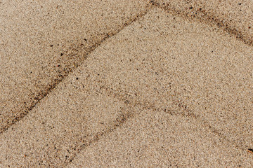 Sand texture as background.