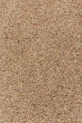 Sand texture as background.