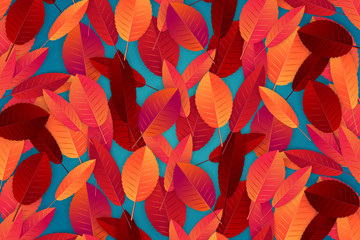 Autumn background with red and orange leaves. Realistic vector iluustration.