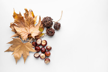 Beautiful autumn composition with dry leaves and chestnuts on white background