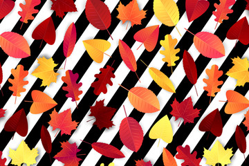 Naklejka premium Autumn background vector illustration. Orange and red leaves over black and white striped backdrop.