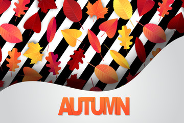 Autumn season design illustration with falling tree leaves and typography text. Vector illustration.