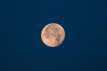 Full moon against the dark sky.