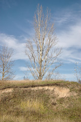 autumn surroundings of a small Russian town