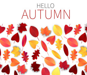 Hello autumn vector illustration with red and orange falling tree leaves over white background. Simple seasonal backdrop.