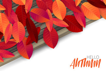 Hello autumn vector illustration. Fall background concept for advertisement, invitation, promotion, offer, discount. Seasonal design.