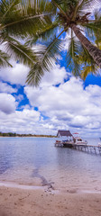 beach with palm trees, Mauritius 