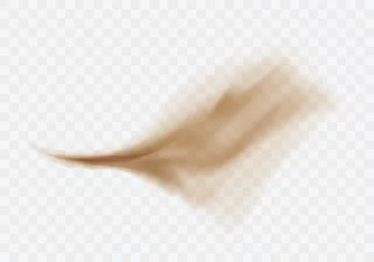 Foto op Canvas Desert sandstorm, brown dusty cloud or dry sand flying with gust of wind, big explosion realistic texture vector illustration isolated on transparent background © klyaksun