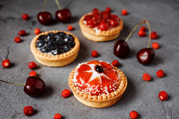 Tasty summer desserts are laying on the gray textured background. Blueberry, strawberry,raspberry tarts.
