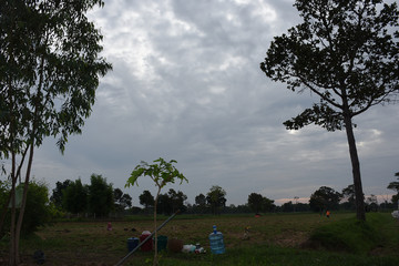 farm with sky