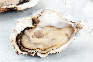 A large oyster, fresh and raw, close-up with ice