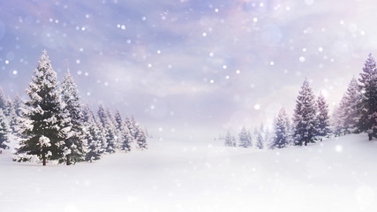 winter landscape with fir trees
